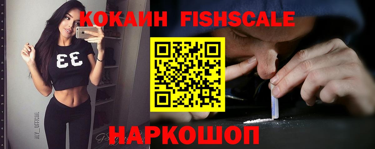 Кокаин Fish Scale  Вход с VPN  Котовск 