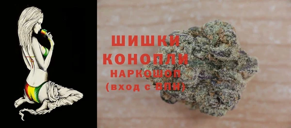 дживик Пересвет
