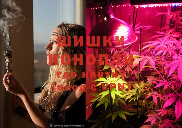 дживик Пересвет