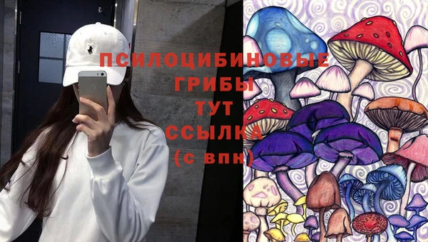 амфетамин Киселёвск