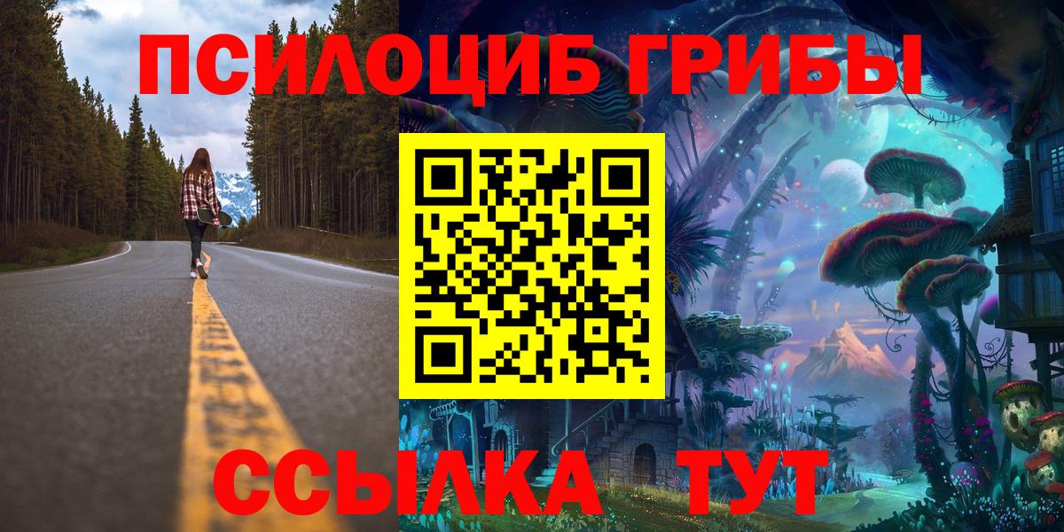 Псилоцибиновые грибы прущие грибы  Котовск  Галлюциногенные грибы Cubensis 