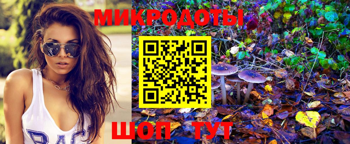 Псилоцибиновые грибы мицелий Котовск