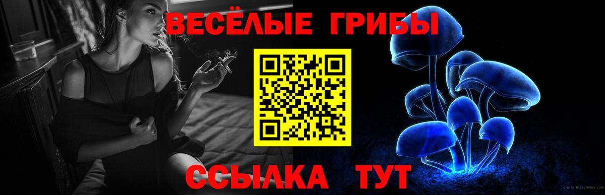 Галлюциногенные грибы мухоморы Котовск